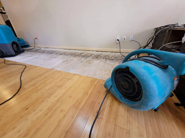 Professional Sewage Cleanup technician working in Immaculata, PA